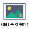 Dami（巨核細胞白血病細胞）